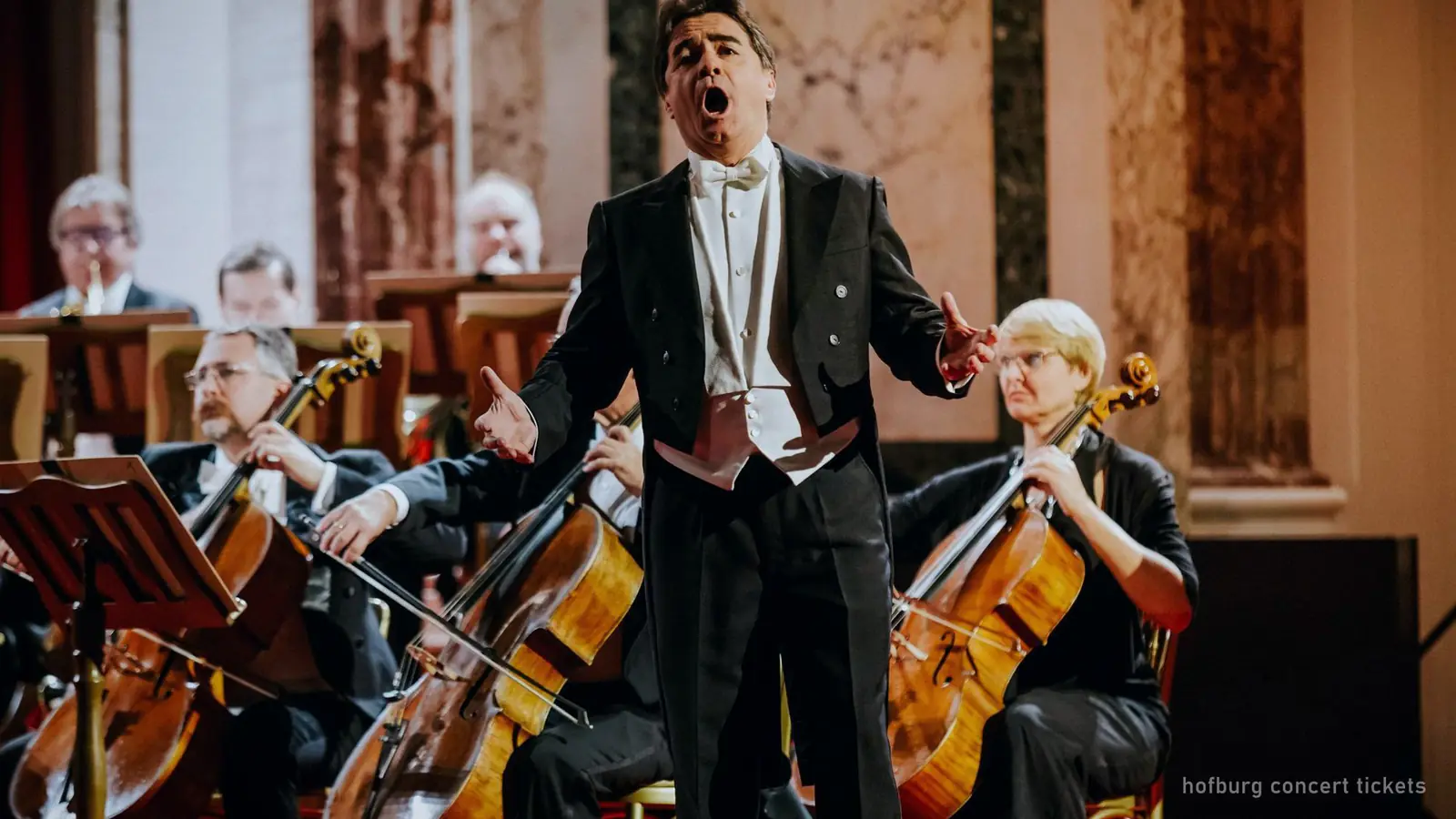 Musicians and a singer performing at a concert in the Hofburg, Vienna — photo from the booking listing