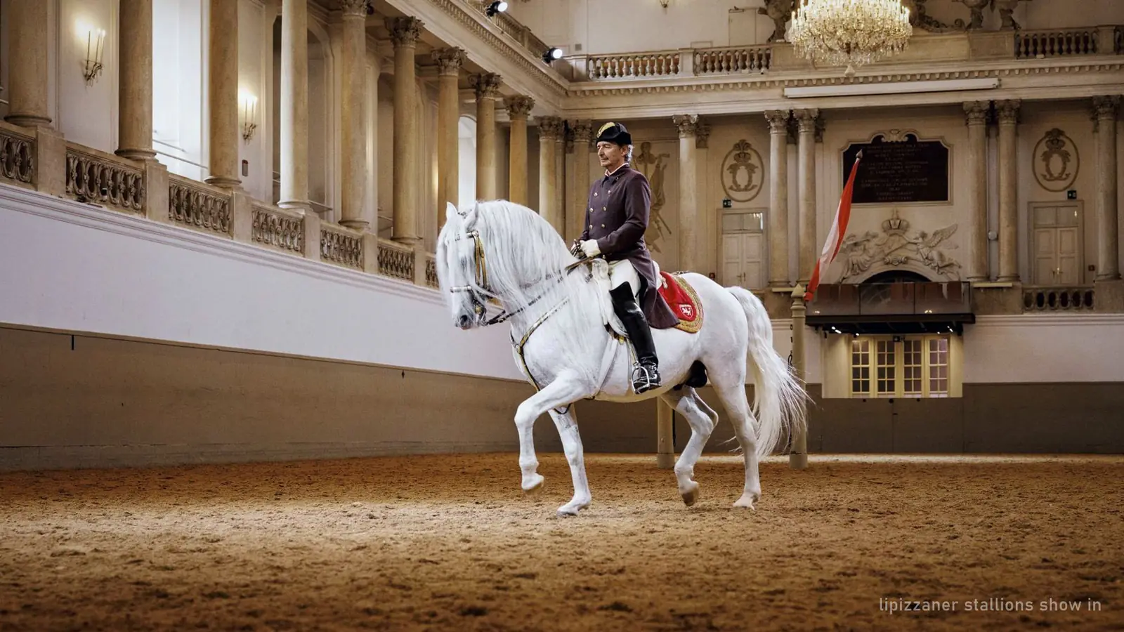 A rider and Lipizzaner stallion performing in the Winter Riding School, Vienna — photo from the booking listing
