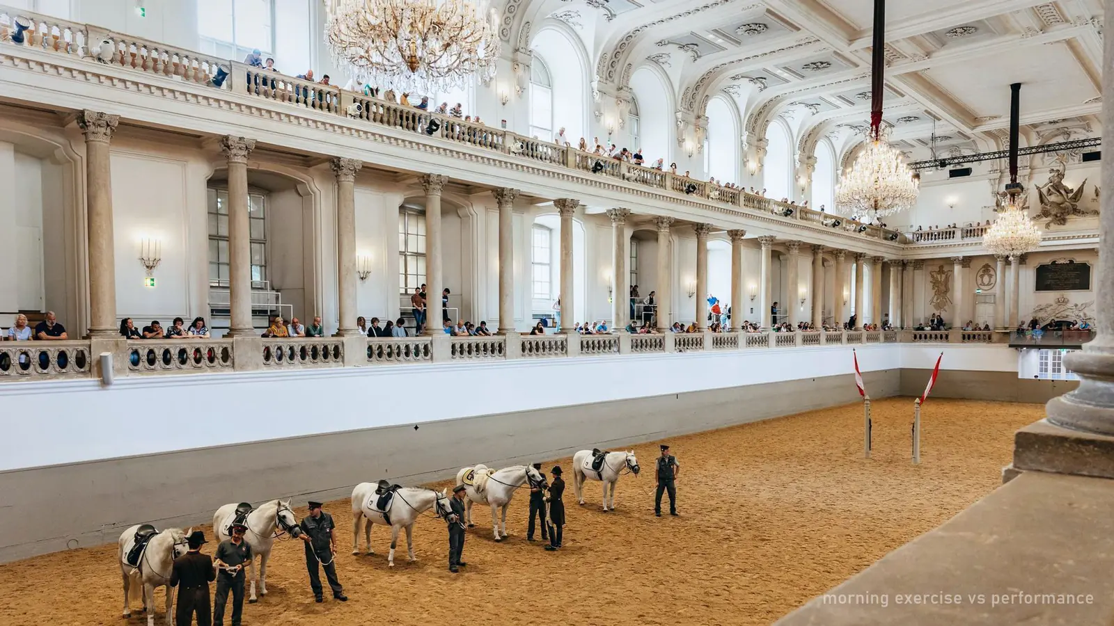 Lipizzaner stallions being schooled in the Winter Riding School during the morning exercise — photo from the booking listing